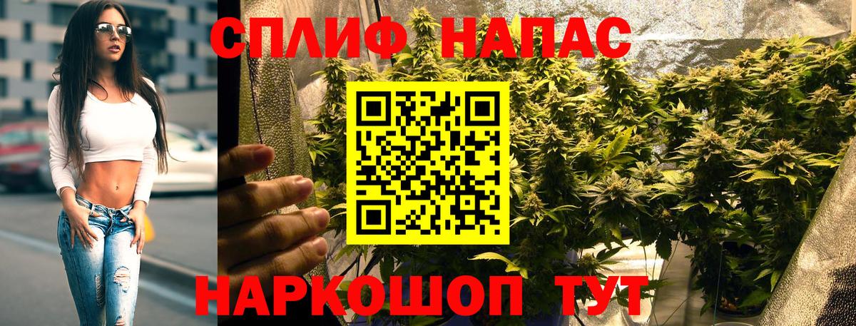 Бошки Шишки марихуана Сарапул